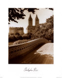 Buy Central Park Bridge I at AllPosters.com