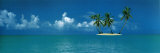Tropical Island