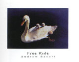 Free Ride