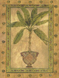 Buy Golden Palm at AllPosters.com