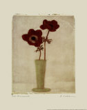 Buy Red Anemones II at AllPosters.com