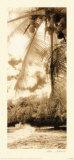 Equatorial Breeze II Art Print