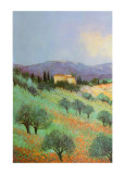 Buy Valley I at AllPosters.com