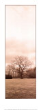 Chestnut Tree