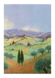 Buy Valley II at AllPosters.com
