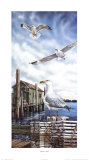 Seagull Key
