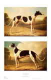 Buy Two Greyhounds at AllPosters.com