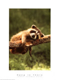 Hang in There