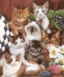 Kitties II