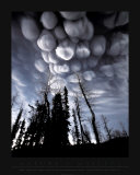 Buy Clouds of Ash at AllPosters.com