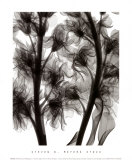 Buy Stock at AllPosters.com