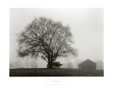 Buy Pleasant Hill at AllPosters.com