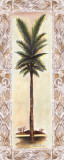 Palm III