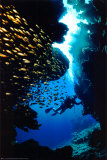 Diving