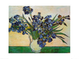Vase of Irises, c.1890