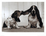 Buy Lend Me Your Ear at AllPosters.com