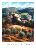 Tuscan Olive Grove