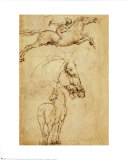 Sketch of a Horse Art Print