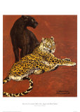 Jaguar and Black Panther