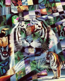 Buy Wildlife Mosaics Tiger at AllPosters.com