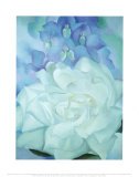 Buy White Rose with Larkspur at AllPosters.com