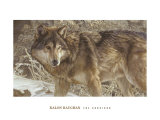 Buy Survivor at AllPosters.com