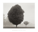 Buy In Touch with Stillness at AllPosters.com
