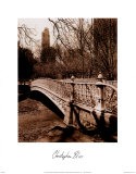 Buy Central Park Bridge II at AllPosters.com