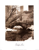 Buy Central Park Bridge IV at AllPosters.com