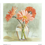 Buy Tangerine Gerbera at AllPosters.com