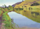 Reservoir with Two Cows