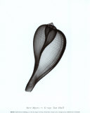 Tun Shell