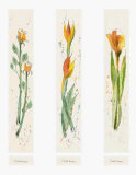 Buy Blumen Motive at AllPosters.com