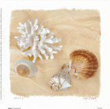 Buy Shells IV at AllPosters.com