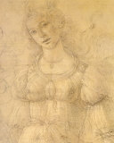 Drawing of a Woman