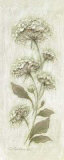 Botanical