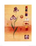 Buy Untitled at AllPosters.com