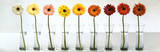 Gerbera-Spektrum Kunstdruck