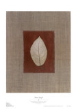 Silver Leaf I