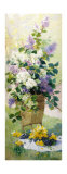 Summer Flowers