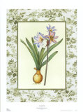 Buy Lily and Toile at AllPosters.com