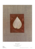 Silver Leaf IV