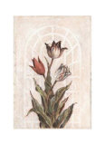 Buy Tulip Companion I at AllPosters.com