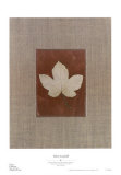 Silver Leaf III