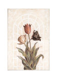Buy Tulip Companion II at AllPosters.com