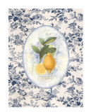 Buy Lemon Toile at AllPosters.com