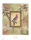 Buy Bahamas Chatter I at AllPosters.com