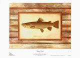 Buy Brown Trout at AllPosters.com