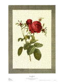 Buy Grandiflora I at AllPosters.com