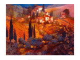 View From San Gimignano